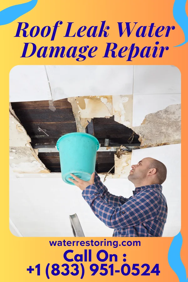 Roof Leak Water Damage Repair in Fulton, IL